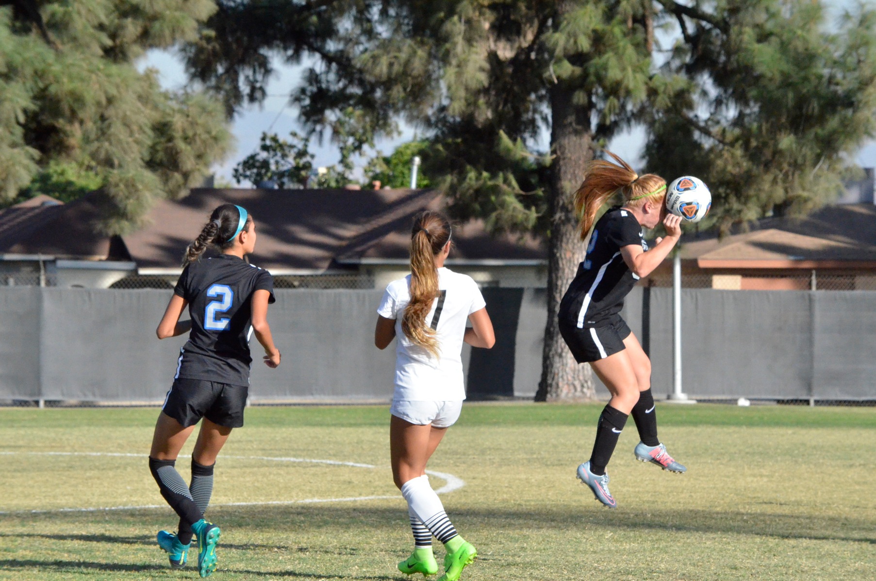 Wolverines Keep It Simple in Victory Over Knights