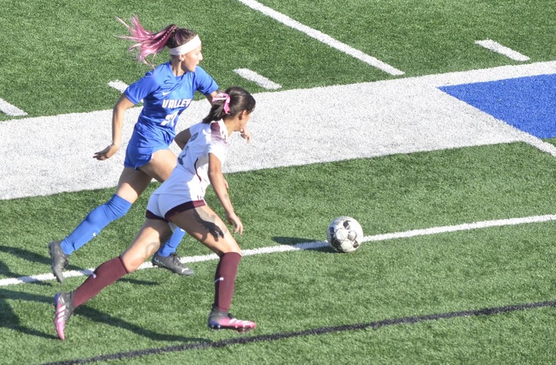 Quick Goals Lift Wolverines over Norco